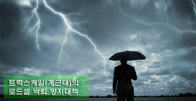 트럭스케일(계근대)의 로드셀 낙뢰 방지대책